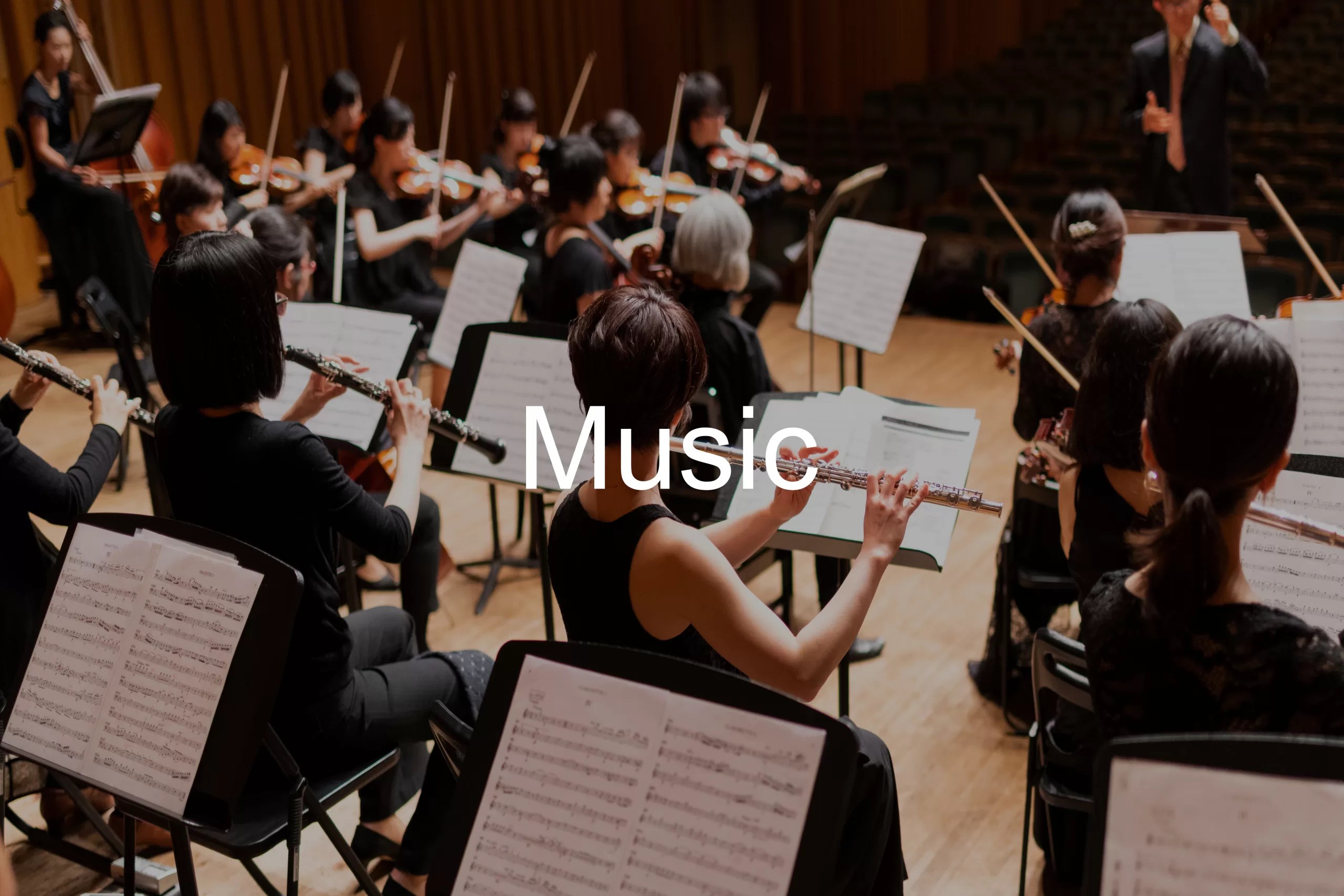 Music Performance Category Image